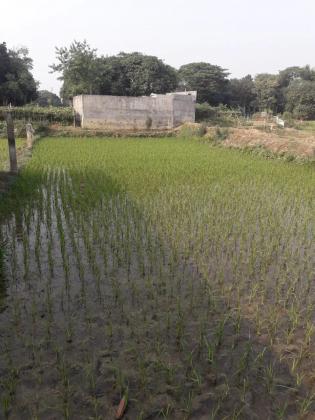Land for sell Uttora Dhaka  / নিষ্কণ্ঠক জমি বিক্রয় হবে ,  জমির পরিমান ৫ কাঠা   উত্তরা  , চামুরখান